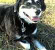 Macy Marion McCurry