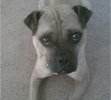 Mugsy