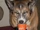 BUSTED! Chew loved his coffee