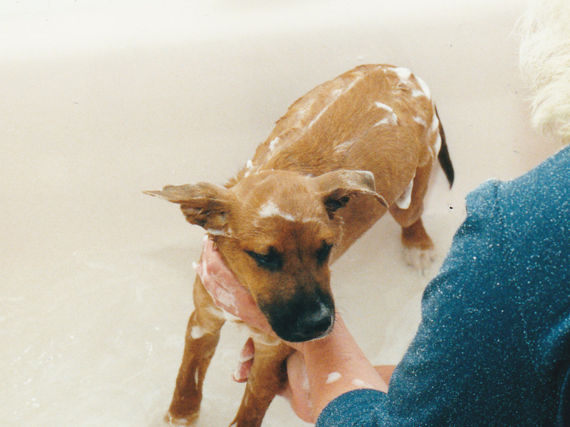 Samantha's first bath