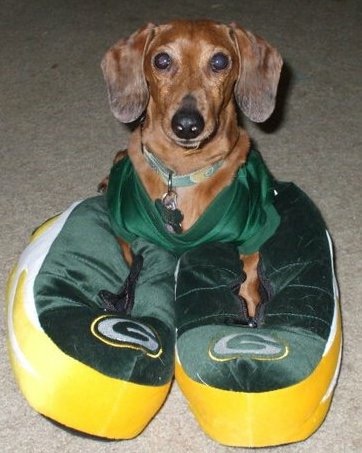 Rooting for Packers team
