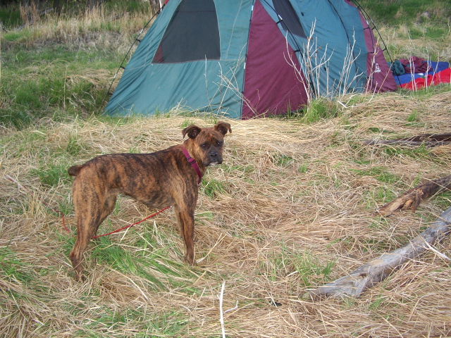 She loved camping/hiking/and the outdoors
