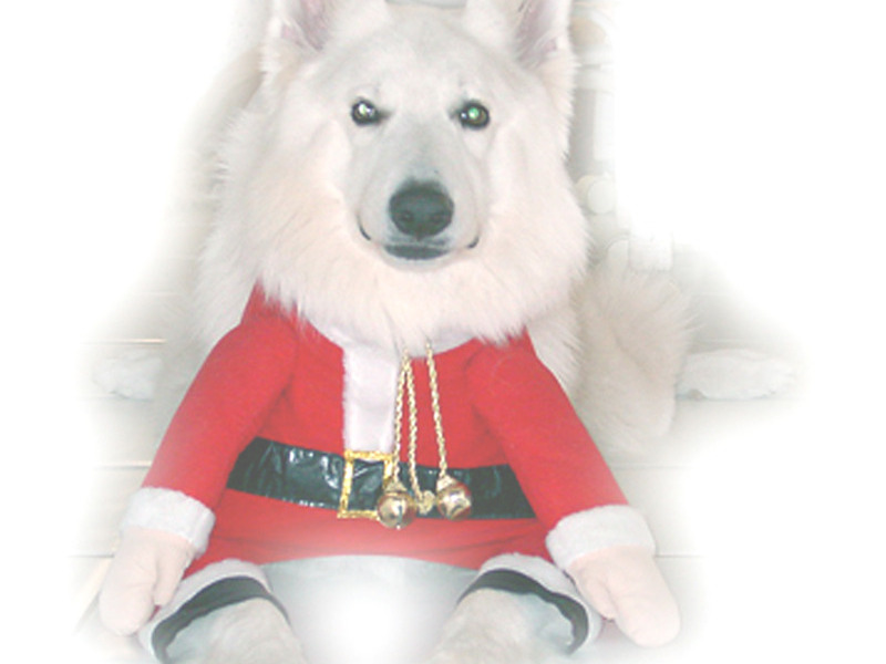 Snowy Wolf Santa
