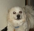 Muffin Lynn Johns lives forever in our hearts