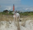 Ponce Inlet FL