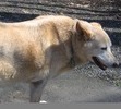 :UsersbrucePictures2010_02