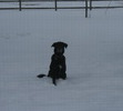 He loved the snow.