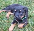First day at home