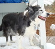 Feb 2011 - loves the snow!