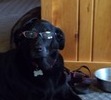 Boda needs glasses