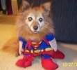 My Super Buffy