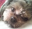 our baby girl