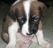 a few weeks after i got him :)