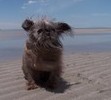 Nina standing in the great salt lake