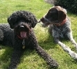Kedge with ol' buddy Topper