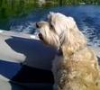 pontoonin'
