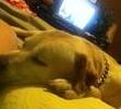 My big boy <3