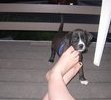 baby jade when i first got her