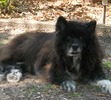 Abby February 2011