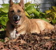 She loved the leaves in Fall