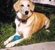 Bailey