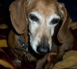 Our precious BeBe Girl