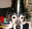 my New Years Date for 8 years!