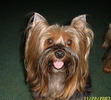 Buddy Beloved Friend N Devoted Companian