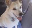 In the car on her way for a hike.