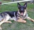 Dakota at 1 yr
