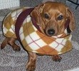 Our baby girl