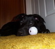with her favourite toy
