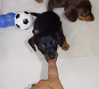 The moment you captured my heart at 5 and 1/2  weeks old