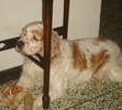 photo caption