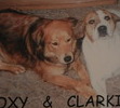 clark and his soul-mate roxy