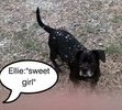 I miss you Ellie !!!!!