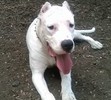 SKYLA AT THE PARK