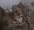 snuggle