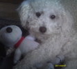 My baby and her Snoopy