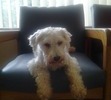Misty,s last day