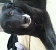 My best friend!