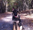 My beautiful Zion, at the mountains. 