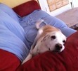 Wanna join me on the couch?