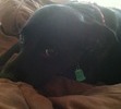 Beautiful girl