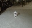 Never too close to the camera!