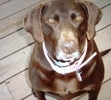 You loved to get your  picture taken