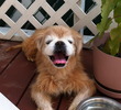 Relaxing on the deck enjoying the sun