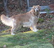 Roxy's Moment in the Sun