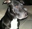 My Handsome Boy!