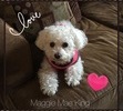 Maggie Mae, Our precious Angel